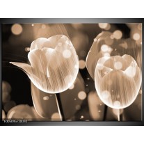 Foto canvas schilderij Tulp | Grijs 