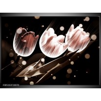 Foto canvas schilderij Tulp | Wit, Grijs 