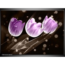 Foto canvas schilderij Tulp | Paars, Grijs 