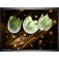 Foto canvas schilderij Tulp | Bruin, Groen 