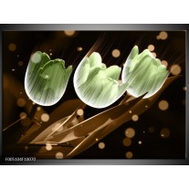 Glas schilderij Tulp | Bruin, Groen 