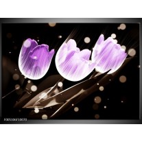 Foto canvas schilderij Tulp | Paars, Grijs 