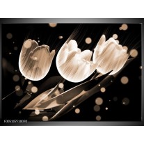 Foto canvas schilderij Tulp | Wit, Zwart, Grijs 