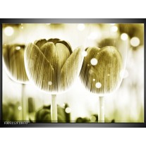 Foto canvas schilderij Tulp | Geel, Wit 