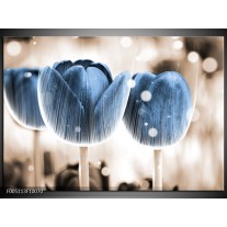 Foto canvas schilderij Tulp | Blauw, Wit 