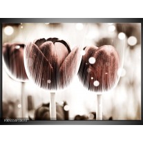 Foto canvas schilderij Tulp | Bruin, Wit 