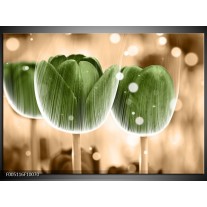 Glas schilderij Tulp | Groen, Bruin 
