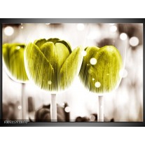 Foto canvas schilderij Tulp | Geel, Wit 