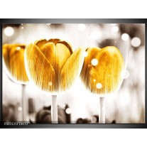 Foto canvas schilderij Tulp | Geel, Wit 