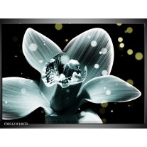 Foto canvas schilderij Iris | Blauw, Zwart 