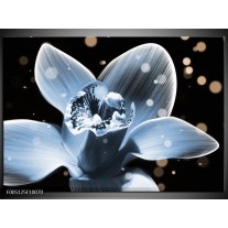 Foto canvas schilderij Iris | Blauw, Zwart 