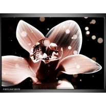 Foto canvas schilderij Iris | Bruin, Zwart 