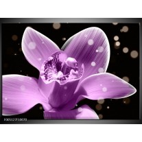 Foto canvas schilderij Iris | Paars, Zwart 