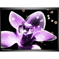 Foto canvas schilderij Iris | Paars, Zwart 