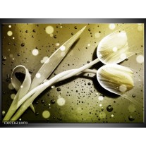 Foto canvas schilderij Tulp | Grijs, Wit 