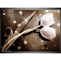 Foto canvas schilderij Tulp | Wit, Grijs 