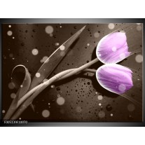 Foto canvas schilderij Tulp | Paars, Grijs 