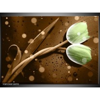 Foto canvas schilderij Tulp | Groen, Bruin 