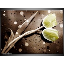 Foto canvas schilderij Tulp | Geel, Grijs 