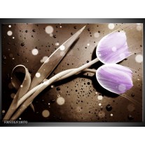 Foto canvas schilderij Tulp | Paars, Grijs 