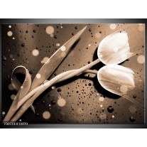 Foto canvas schilderij Tulp | Grijs, Wit 