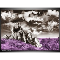 Foto canvas schilderij Natuur | Paars, Grijs 