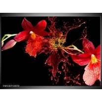 Glas schilderij Art | Rood, Zwart 