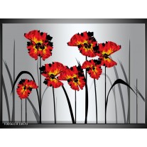 Glas schilderij Tulp | Oranje, Zwart, Grijs 