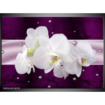 Foto canvas schilderij Orchidee | Zwart, Wit, Paars 