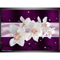 Foto canvas schilderij Orchidee | Wit, Paars 