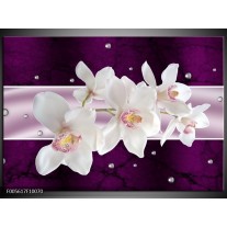 Glas schilderij Orchidee | Wit, Paars 