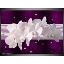 Glas schilderij Orchidee | Wit, Paars 