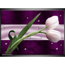 Foto canvas schilderij Tulp | Paars, Groen, Groen 