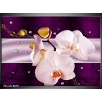 Glas schilderij Orchidee | Paars, Wit, Grijs 