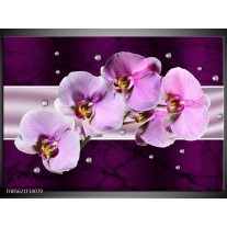Glas schilderij Orchidee | Paars, Wit 