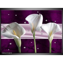 Foto canvas schilderij Bloem | Wit, Paars 