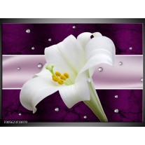 Foto canvas schilderij Bloem | Paars, Wit, Grijs 