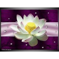 Foto canvas schilderij Tuin | Paars, Wit 