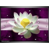 Foto canvas schilderij Tuin | Paars, Wit 