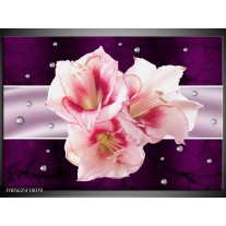 Glas schilderij Tuin | Paars, Roze, Wit 