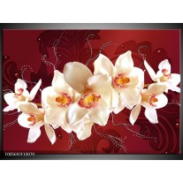 Glas schilderij Orchidee | Rood, Wit, Crème 