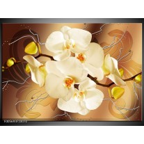 Glas schilderij Orchidee | Bruin, Crème 