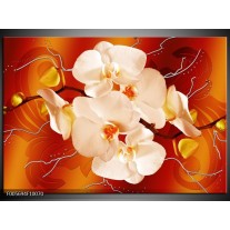 Foto canvas schilderij Orchidee | Rood, Oranje, Creme 