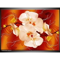 Glas schilderij Orchidee | Rood, Oranje, Crème 
