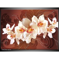 Foto canvas schilderij Orchidee | Bruin, Creme 