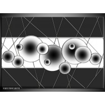 Glas schilderij Cirkel | Zwart, Wit 