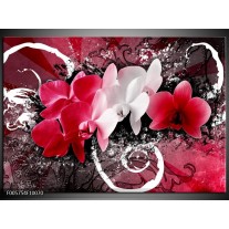 Foto canvas schilderij Orchidee | Roze, Wit, Zwart 