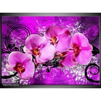 Glas schilderij Orchidee | Paars 