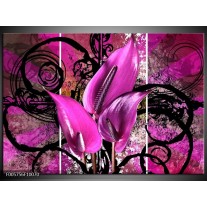 Foto canvas schilderij Anthurium | Paars, Zwart 