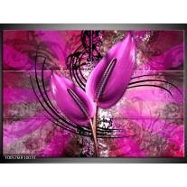 Glas schilderij Anthurium | Paars 